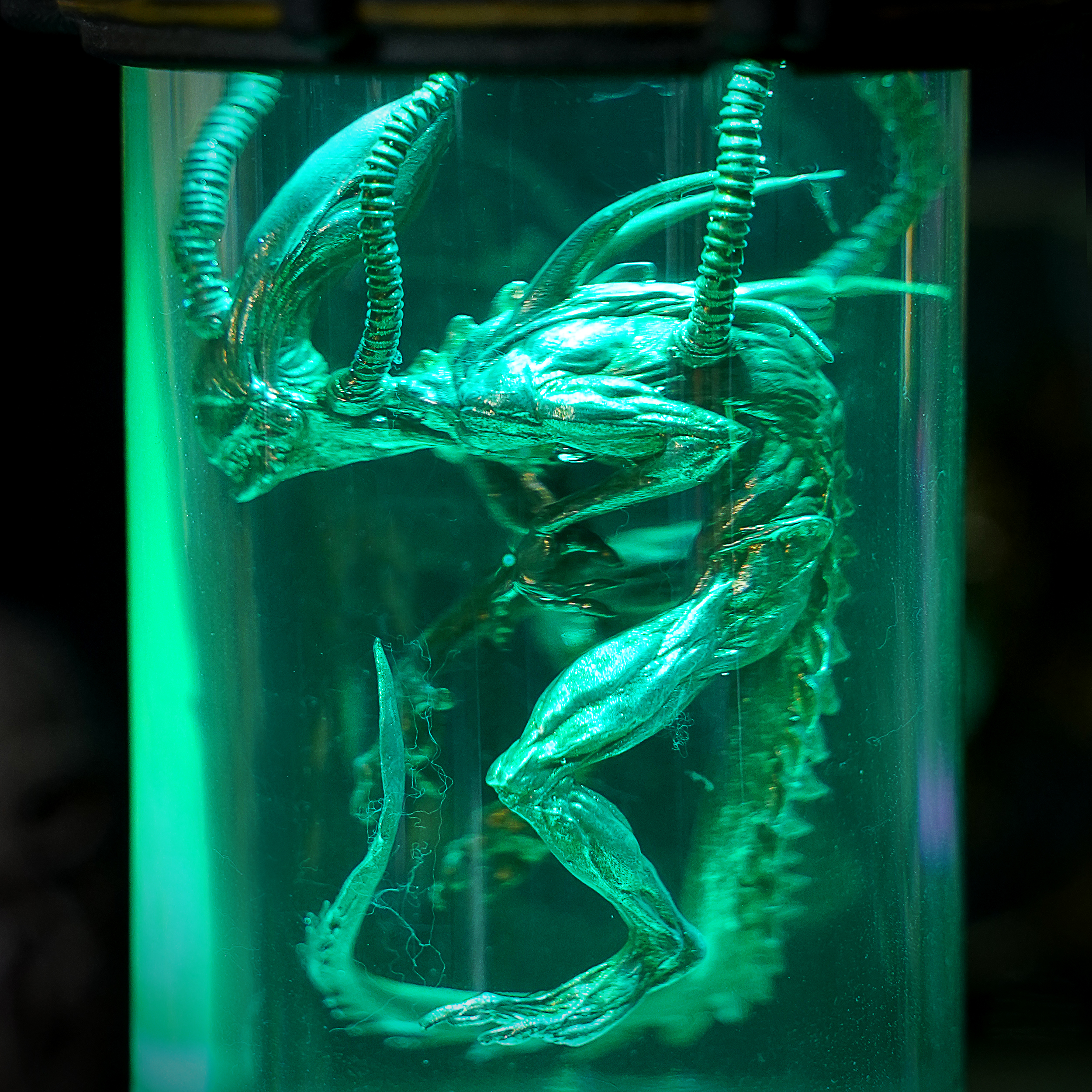 ALIEN V2 ARTISAN - Image 7