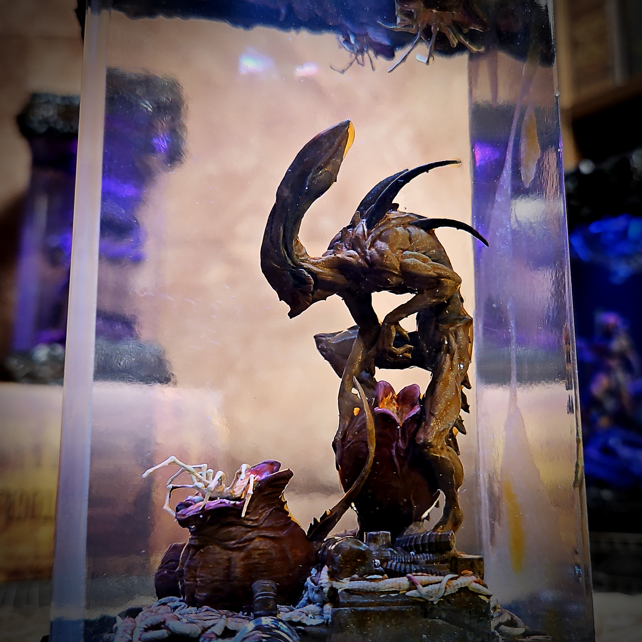 ALIEN BLACK - Image 4